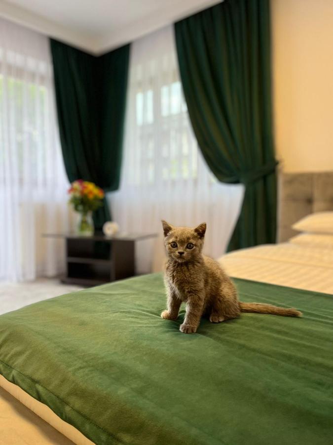 Vila Calimanel Hotel Vatra Dornei Esterno foto